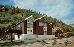 Black Forest Inn Postcard