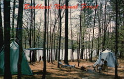 Brushy Lake Campsite, Bankhead National Forest Postcard
