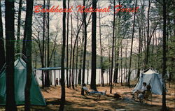 Brushy Lake Campsite, Bankhead National Forest Alabama Postcard Postcard