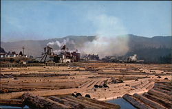 World's Largest Redwood Lumber Mill Scotia, CA Postcard Postcard