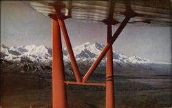 Mt. McKinley from the Air Postcard