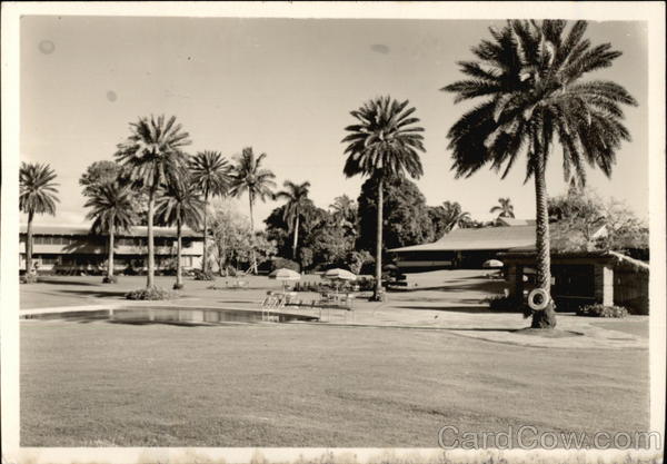 Pool Among Palm Trees Hotels