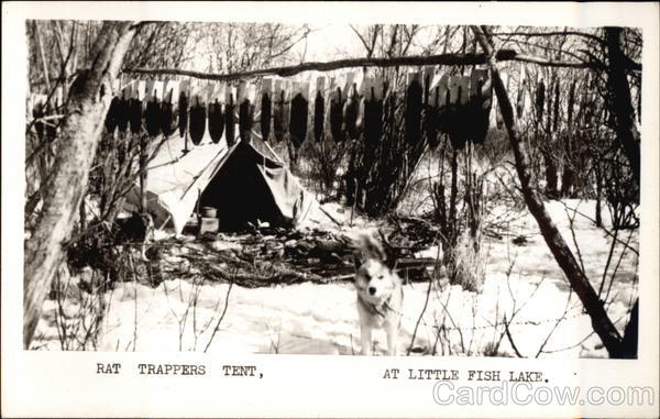 Rat Trappers Tent Little Fish Lake AB Canada Alberta