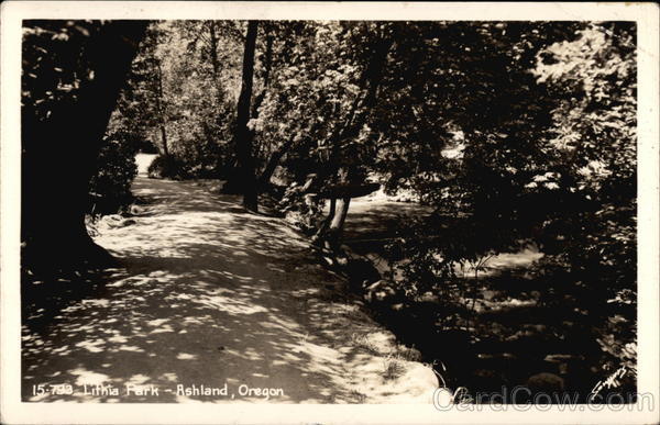 Tree-lined Path, Lithia Park Ashland Oregon