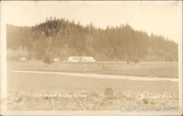 Tillamook Dairy Farm Oregon