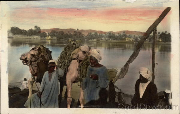 Men with Camels Egypt Africa