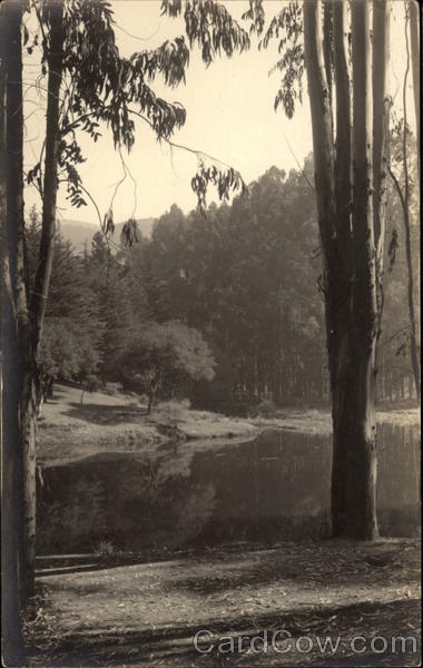 Mills College Lake Oakland California