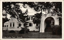 Cedar Lodge Postcard