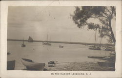 In the Harbor Postcard