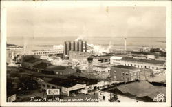 Pulp Mill Bellingham, WA Postcard Postcard