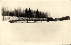 Clyde's Load of White Birch Postcard