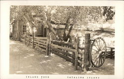 Inland Tour Postcard