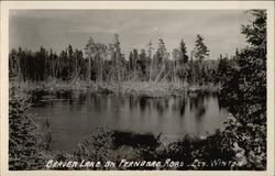 Beaver Lake on Fernberg Road Postcard