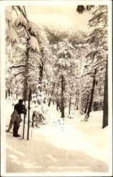 Stock #328730 Thumbnail