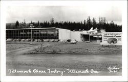 Tillamook Cheese Factory Postcard