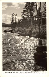 Killarney Lodge - Algonquin Park Postcard