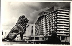 The Nile Hilton Cairo, Egypt Africa Postcard Postcard