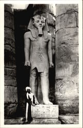 Statue of Ramses II Postcard