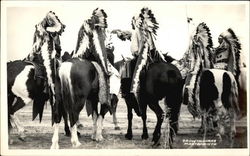 Crow Indians Montana Postcard Postcard