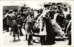 African Palaver Postcard