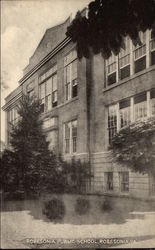 Robesonia Public School Pennsylvania Postcard Postcard