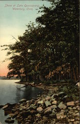 Shore at Lake Quassapang Waterbury, CT Postcard Postcard