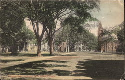 Yale University Campus Postcard