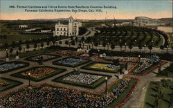 Formal Gardens and Citrus Grove from Southern Counties Building Postcard