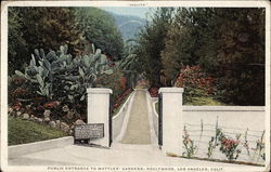 Public Entrance to Wattles' Gardens, Hollywood Postcard