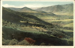 In the Tehachapi Mountains Near Tehachapi Pass Postcard