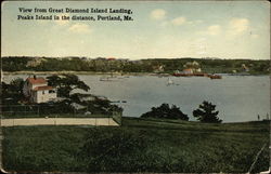 Stock #329727 Thumbnail