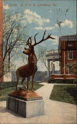 BPOE (Elks) Lynchburg, VA Postcard Postcard