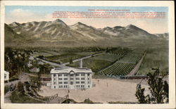 Stock #329994 Thumbnail