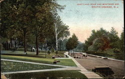 Scottland Road and Montrose Ave Postcard