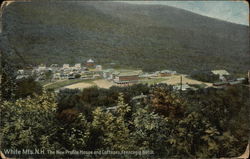 The New Profile House and Cottages, White Mts Franconia Notch, NH Postcard Postcard