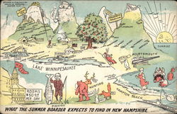 What the Summer Boarder Expects to Find in New Hampshire Postcard