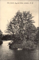 The island, Soucook River, Loudon, N.H New Hampshire Postcard Postcard