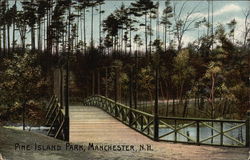 Pine Island Park Postcard
