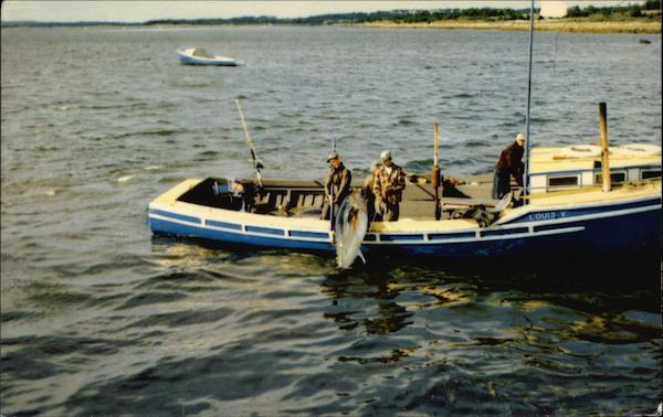 Tuna Fishing in Nova Scotia