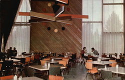 Canyon Lodge Cafeteria Dining Room, Canyon Village Postcard