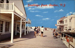 Greetings from Avalon Postcard