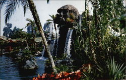 Pirate's Cove at Disneyland Postcard