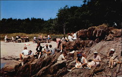 Lobster Picnic Postcard