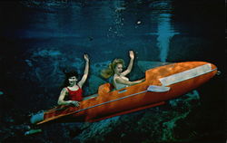 Mermaids at Weeki Wachee Florida Postcard Postcard