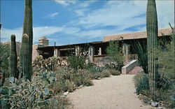 Arizona - Sonora Desert Museum Tucson, AZ Postcard Postcard