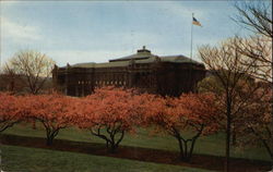 Stock #330638 Thumbnail