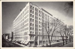 T. Eaton Co. Limited Department Store Postcard