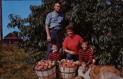 Stuart's Fruit Farm Postcard