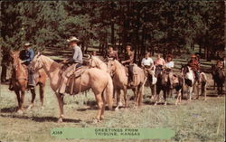 Greetings from Tribune Kansas Postcard Postcard