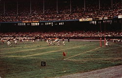 Stock #331468 Thumbnail